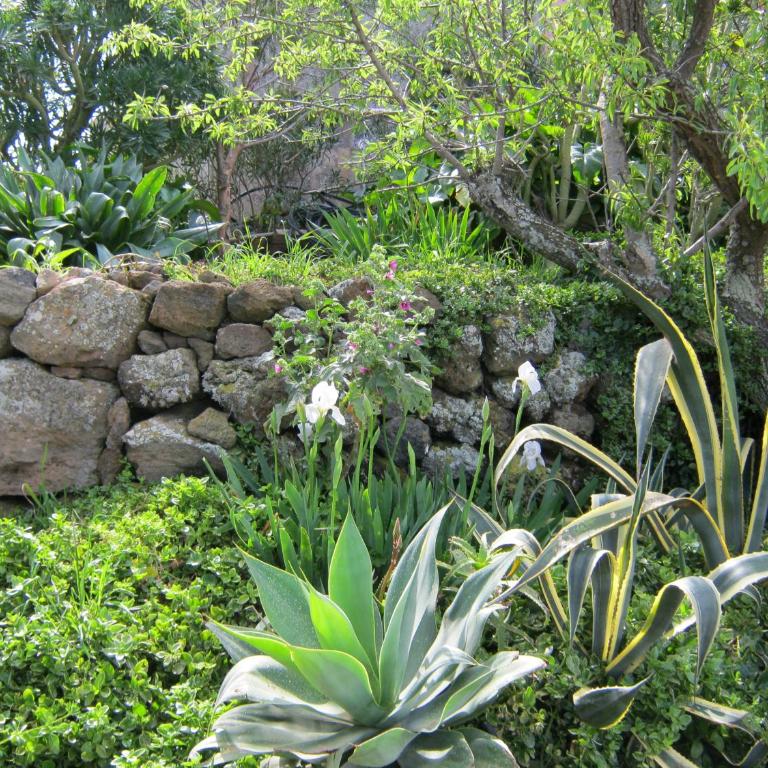Bouganville-La Casa Dei Fiori - Appartamento con 1 Camera da Letto - 27