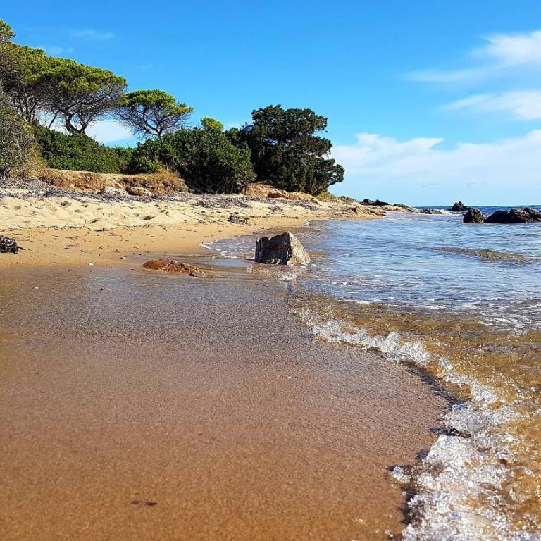 Villa vista pineta - 90 mt dalla spiaggia - Appartamento con Vista Giardino - 80