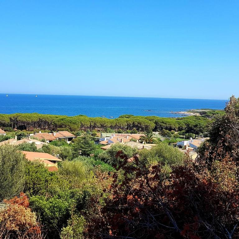 Villa vista pineta - 90 mt dalla spiaggia - Appartamento con Vista Giardino - 68