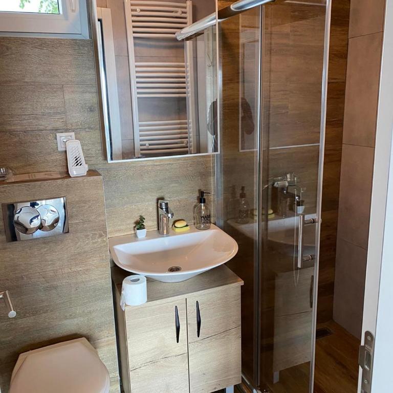 Silver Hill apartment - One-Bedroom Apartment - 4