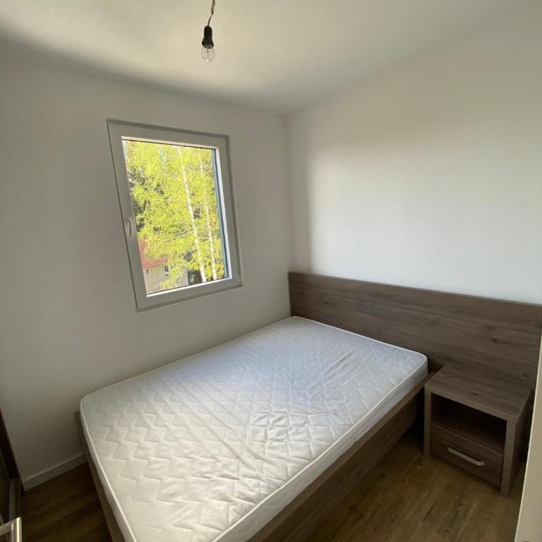 Silver Hill apartment - One-Bedroom Apartment - 5