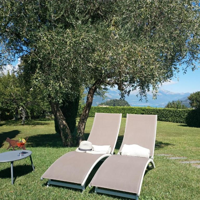 ALBA e TRAMONTO Appartamenti vista lago - Appartamento con Vista Lago e Giardino - 8
