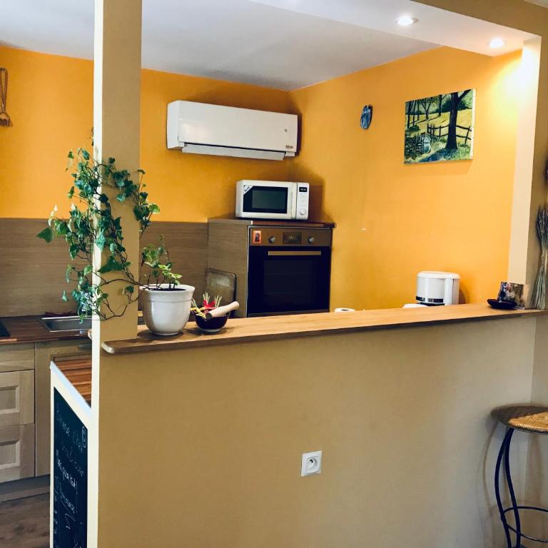 House with nice garden, downtown by walk - Appartement 2 Chambres - 6