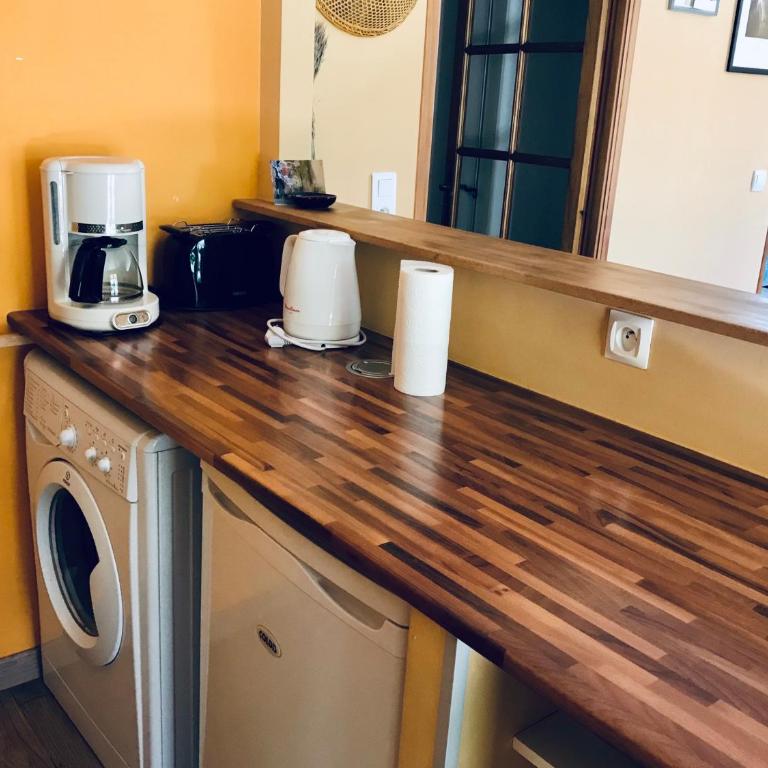 House with nice garden, downtown by walk - Appartement 2 Chambres - 9