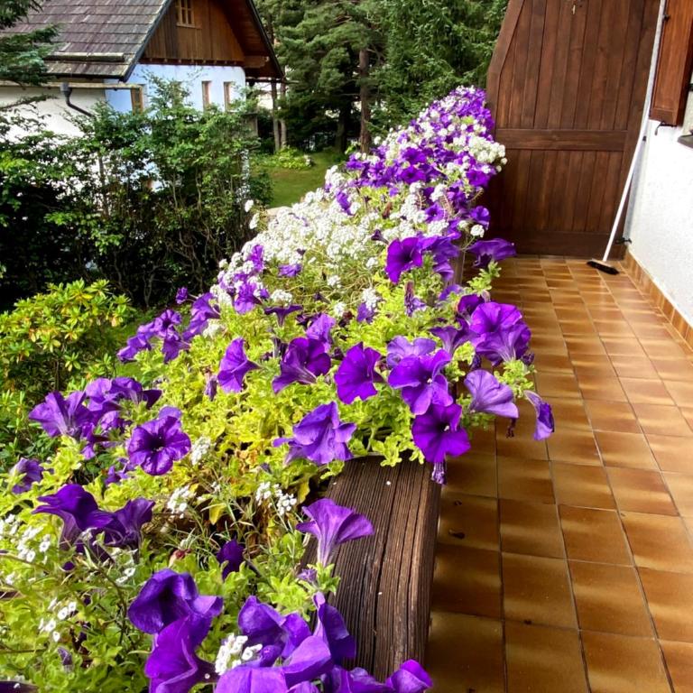 Haus JoLoMo - Apartment mit 2 Schlafzimmern - 7