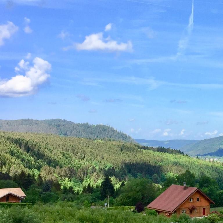 Chalet Le Flocon Bleu - Mauselaine avec vue sur le Lac de Gérardmer - Chalet 3 Chambres - 36