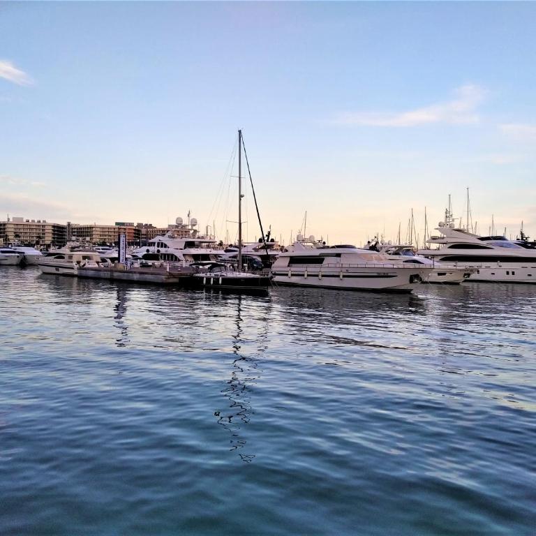San Blas Apartment - Alicante City - Two-Bedroom Apartment - 24