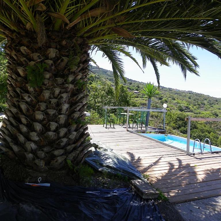 Casita Mariposa Azul - Apartamento de 1 dormitorio - 14