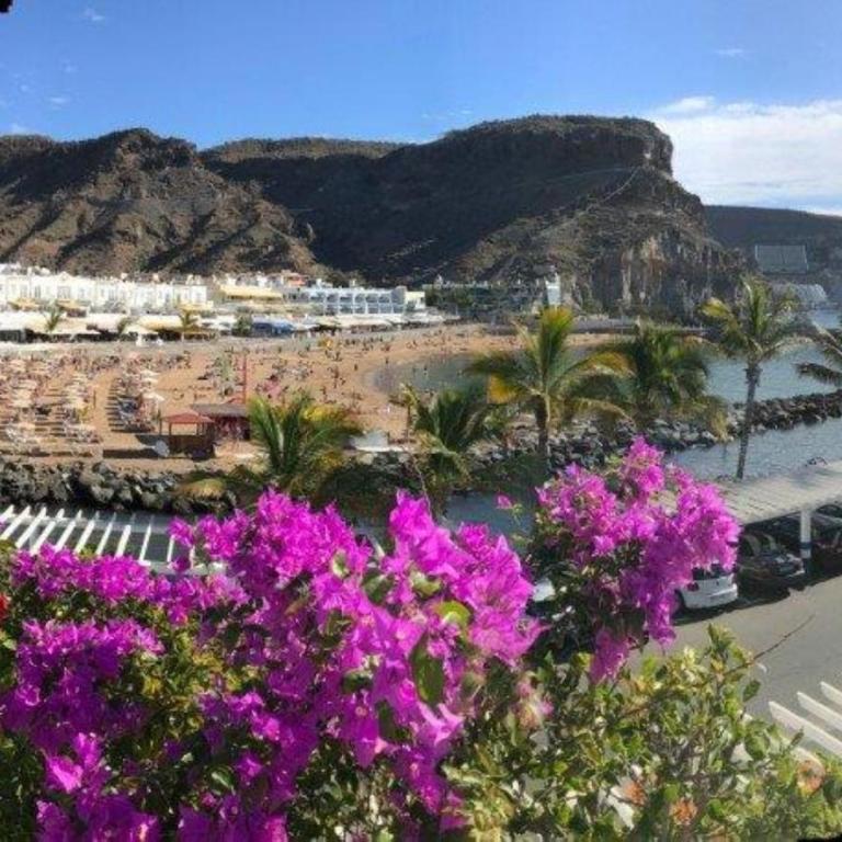 Harbour 374 with private roof terrace in Puerto de Mogan by El Sirocco - Apartamento - 1