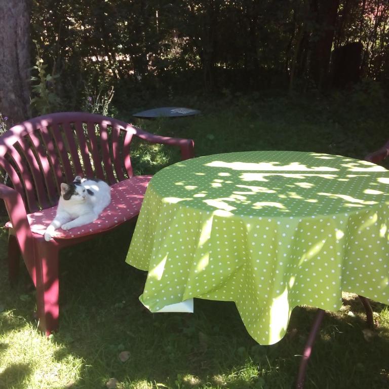 Neueröffnung, 2 wunderschöne Ferienwohnungen im Grünen - Apartment mit 1 Schlafzimmer - 9