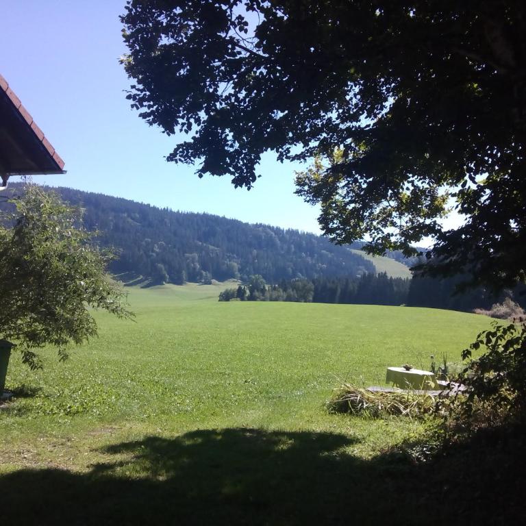 Neueröffnung, 2 wunderschöne Ferienwohnungen im Grünen - Apartment mit 1 Schlafzimmer - 4