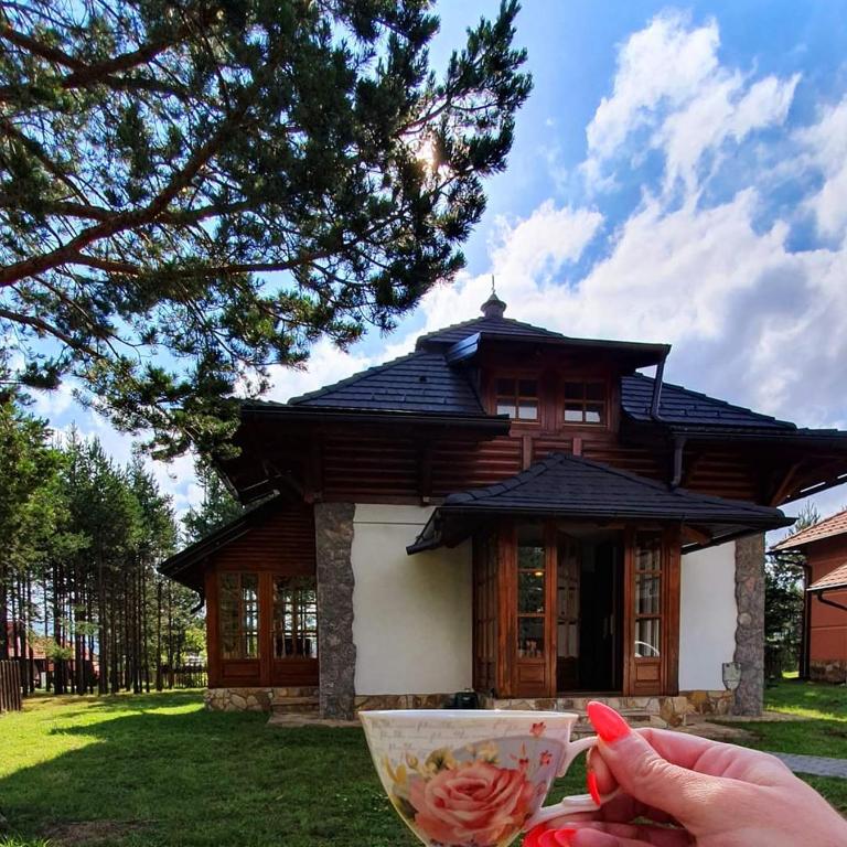 Vila Panić Zlatibor - Vila sa 2 Spavaće Sobe - 1