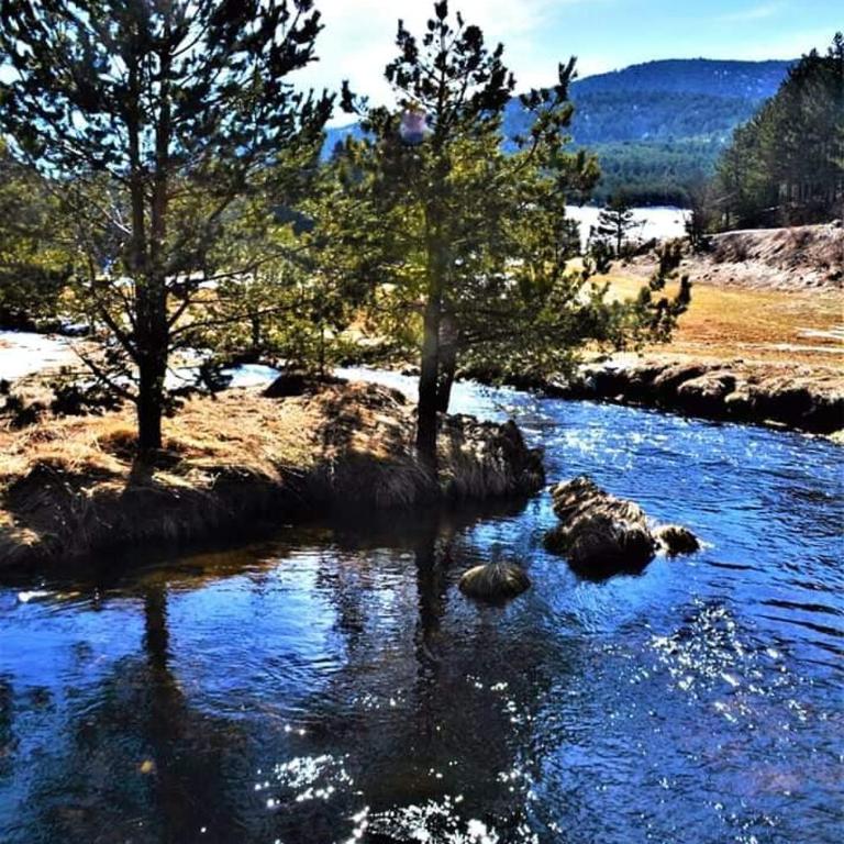 Vila Panić Zlatibor - Vila sa 2 Spavaće Sobe - 23