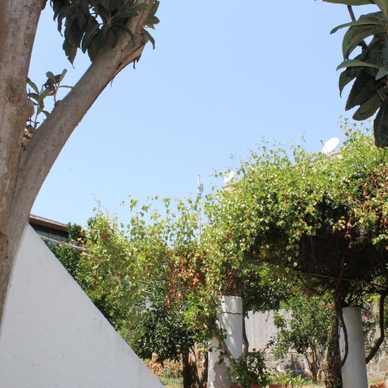 Casa Diana Arianna - Appartamento con Vista Giardino - 12