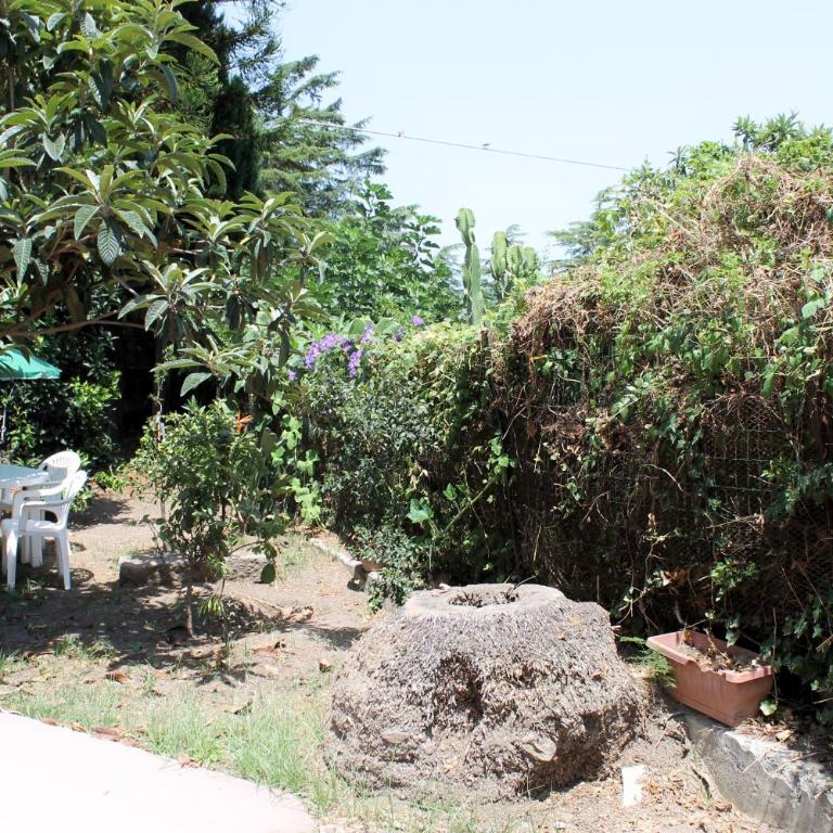 Casa Diana Arianna - Appartamento con Vista Giardino - 3