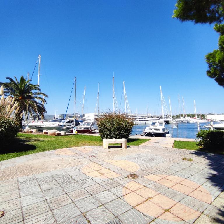 Magnifique T2 au calme avec une superbe vue sur le port - Appartement 1 Chambre - 30