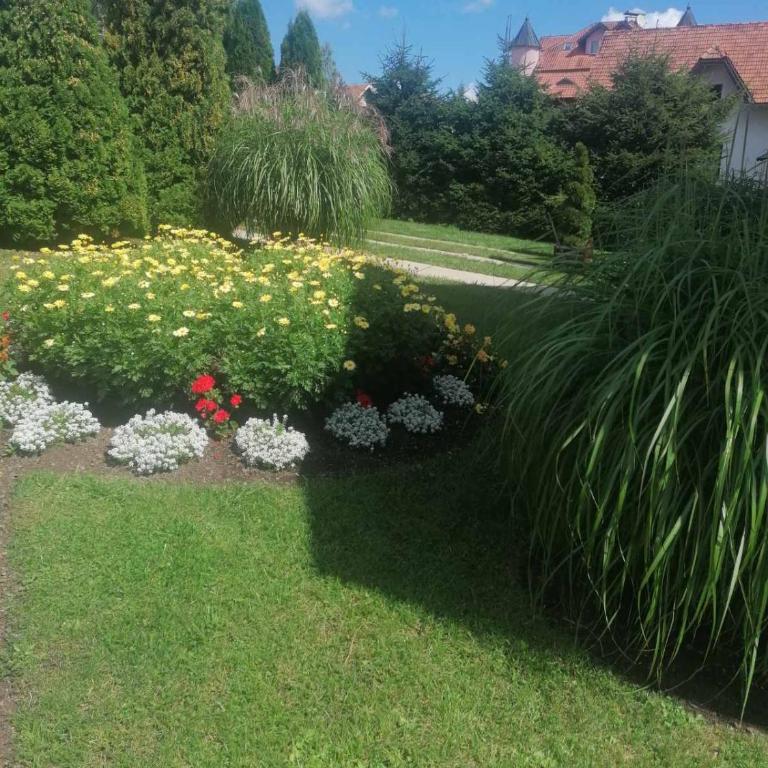 Božović MV Apartments - Apartment with Terrace - 9
