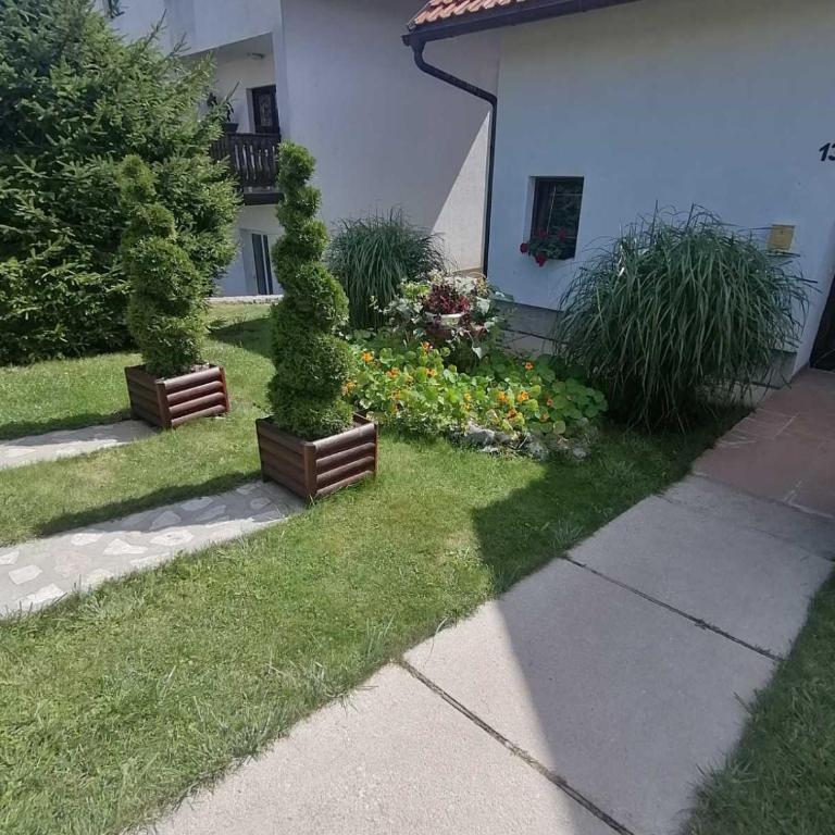 Božović MV Apartments - Apartment with Terrace - 8