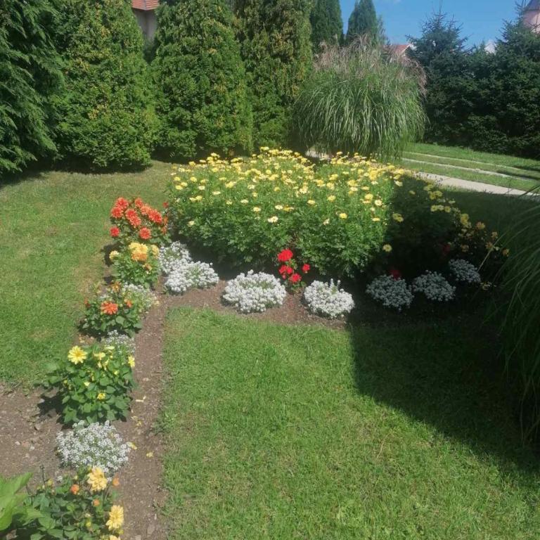 Božović MV Apartments - Apartment with Terrace - 7
