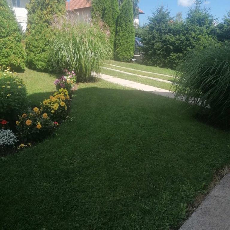 Božović MV Apartments - Apartment with Terrace - 6