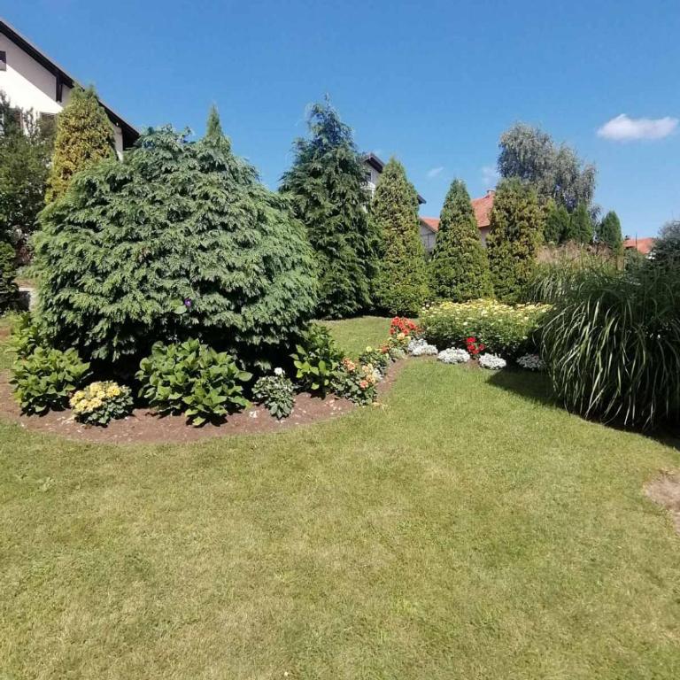 Božović MV Apartments - Apartment with Terrace - 5