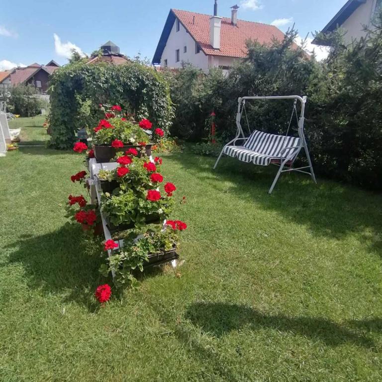 Božović MV Apartments - Apartment with Terrace - 1