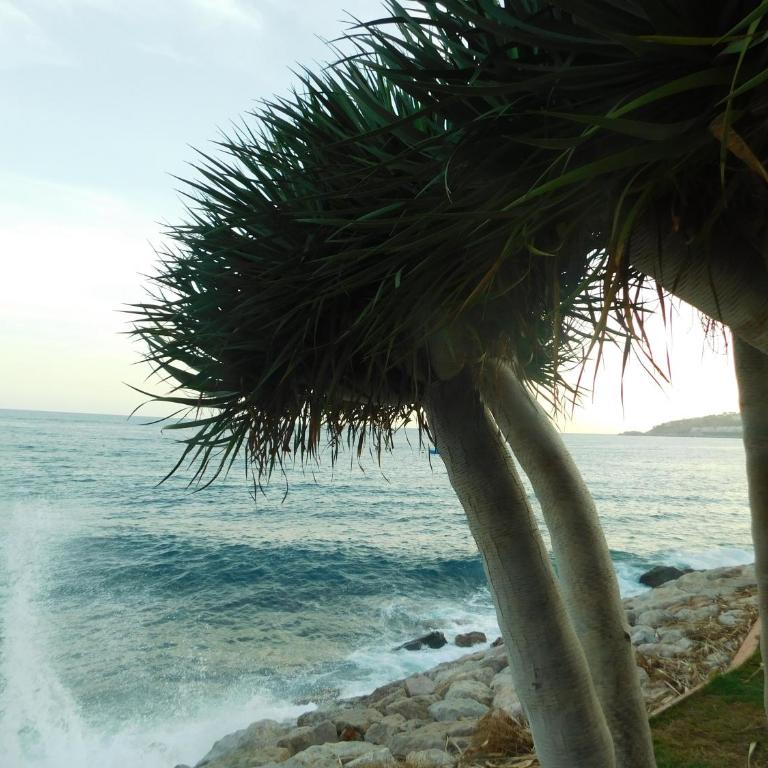 Chinasol Tropical - Apartamento Estudio - 6