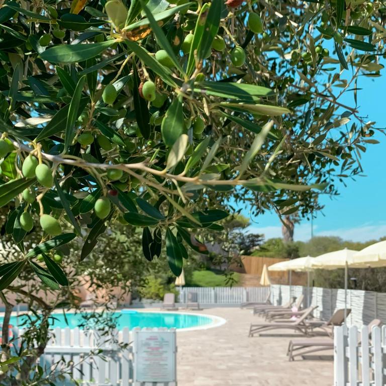Park Hotel Asinara - Camera Quadrupla Deluxe - 1