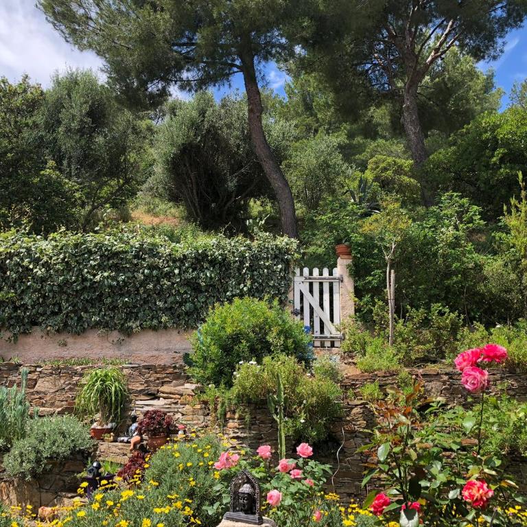 logement zen sur la colline aux mimosas - Appartement 1 Chambre - 29