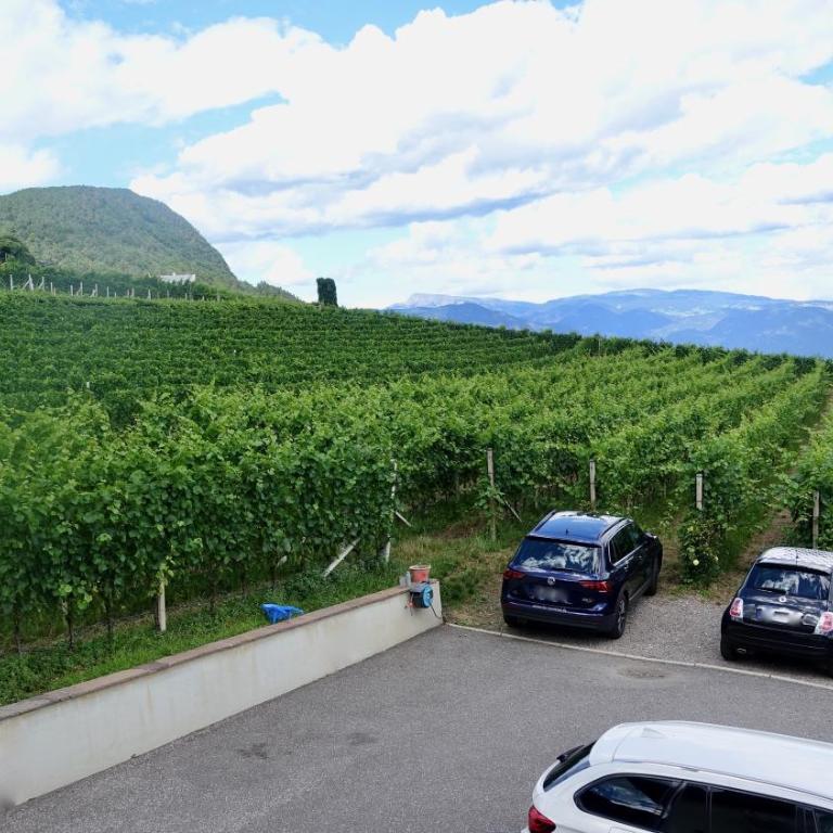 Strengen Guesthouse - Camera Matrimoniale con Vista Giardino - 1