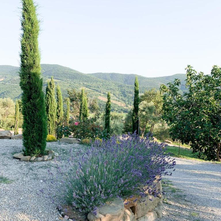 Villa Montanare - romantic escape Tuscany - Monolocale su 2 Livelli - 16