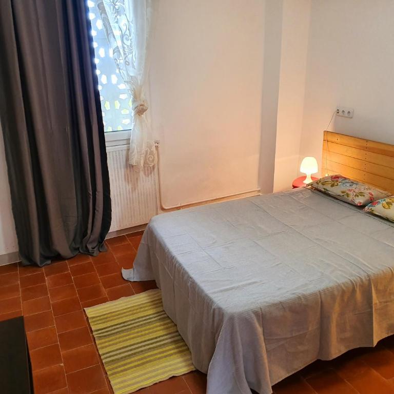 APPARTEMENT AGATHOIS-2 - Appartement 1 Chambre - 13