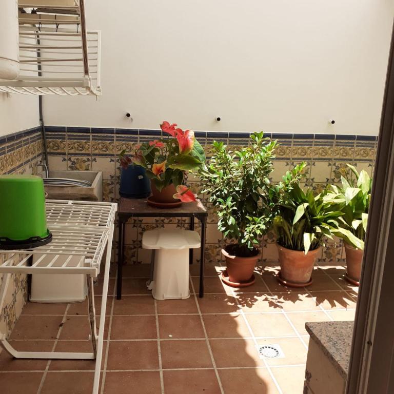 Apartamento en calle Real - Apartamento - 20