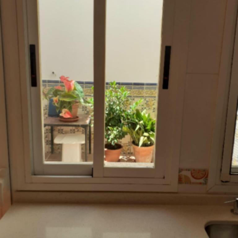 Apartamento en calle Real - Apartamento - 19