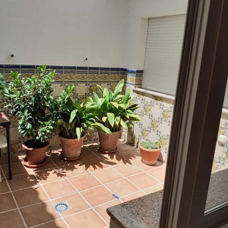 Apartamento en calle Real - Apartamento - 21