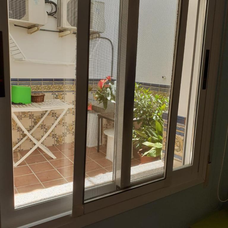 Apartamento en calle Real - Apartamento - 16