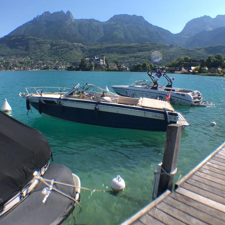L'Appart du Lac, Plage Privée - Apartment mit 1 Schlafzimmer - 11