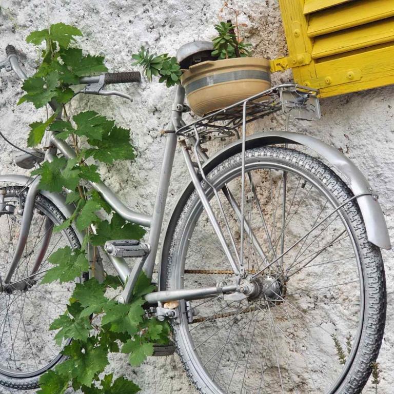 Zigana Apartments - Two-Bedroom Apartment - 15