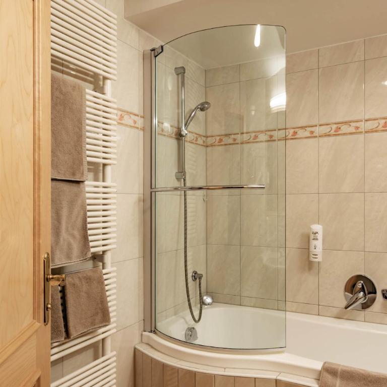 Hotel Berghof Mayrhofen - Standard Doppelzimmer - 11