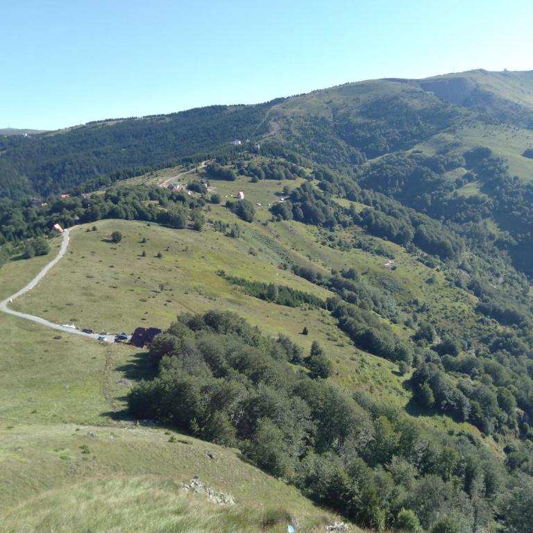 Vikendica Vila Despotovic - Villa - 68