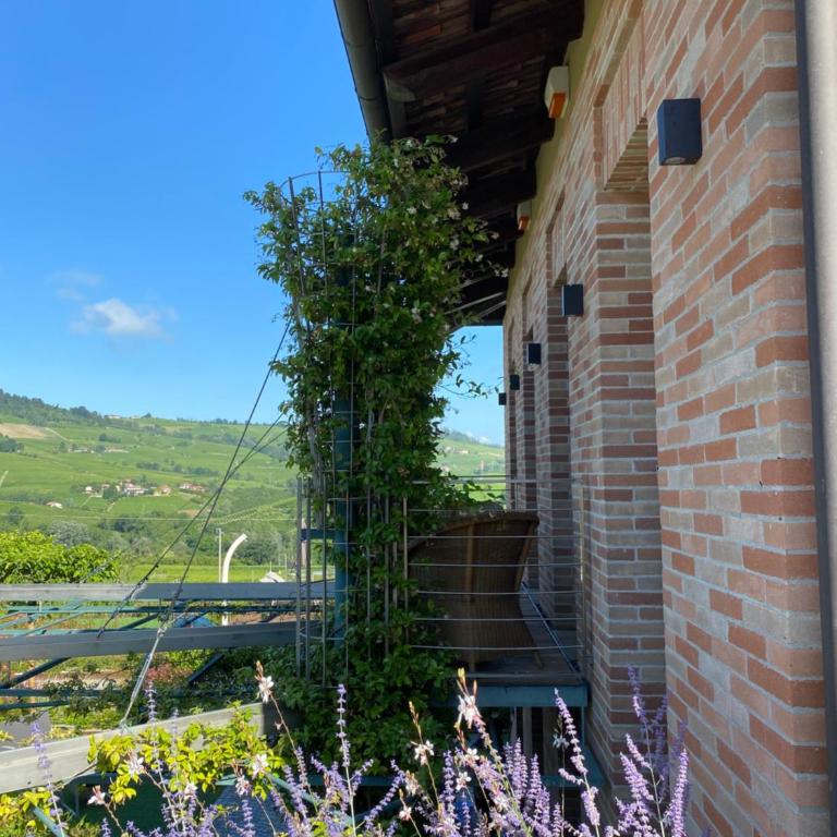 Agrisuite Il Cedro - Appartamento con 1 Camera da Letto - 5