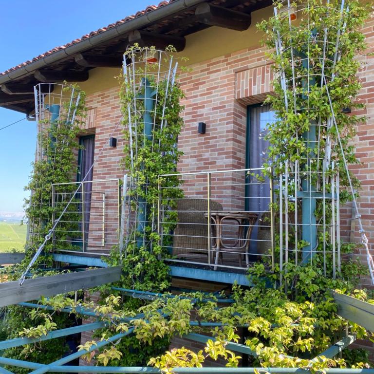 Agrisuite Il Cedro - Appartamento con 1 Camera da Letto - 4