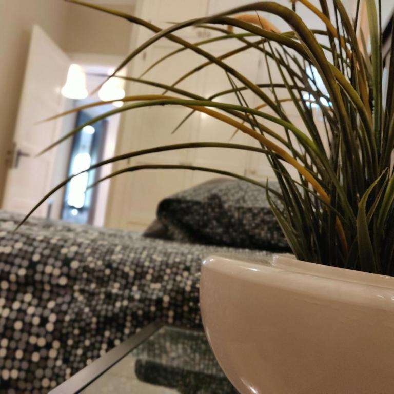 Orlando - Tenerife Sur - Apartamento de 1 dormitorio - 4