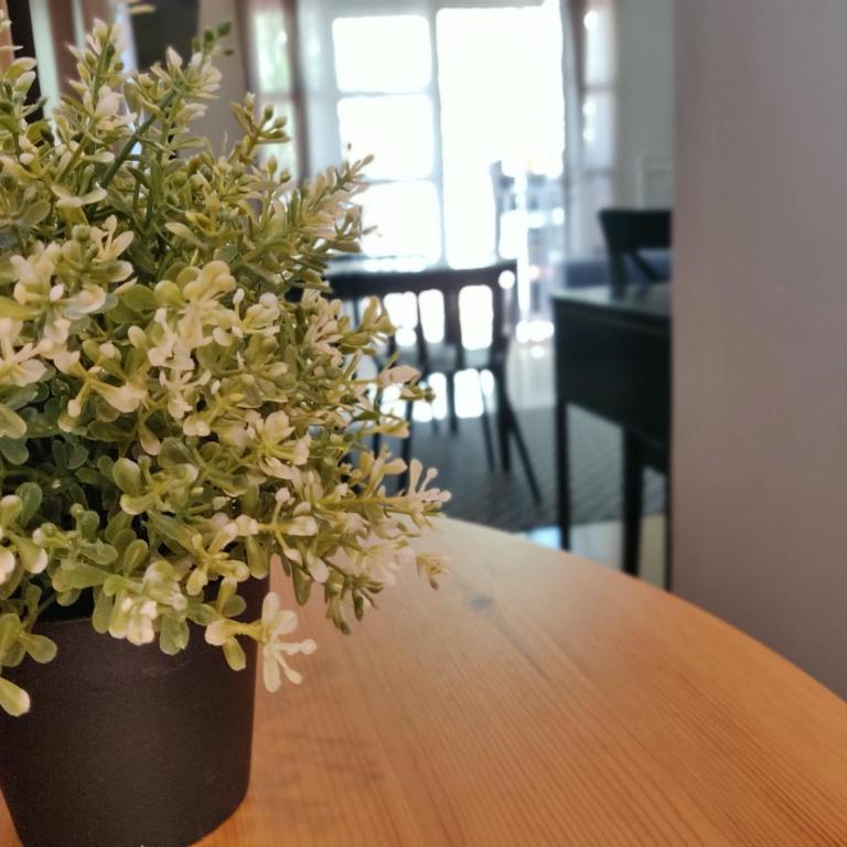 Orlando - Tenerife Sur - Apartamento de 1 dormitorio - 12