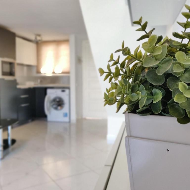 Parque Santiago 2 - Playa de Las Américas Tenerife - Apartamento de 2 dormitorios - 7