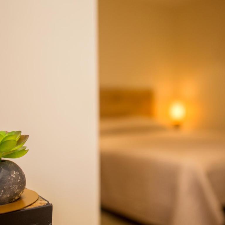 Hotel Cesario - Chambre avec Terrasse - 3
