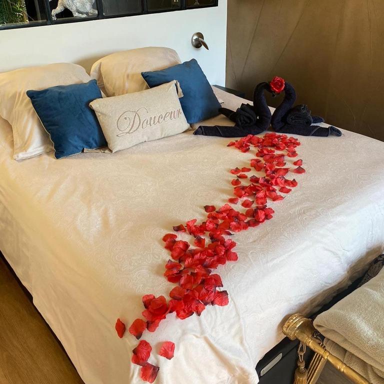Cocon Chic Aix les bains - Apartment mit 1 Schlafzimmer - 54
