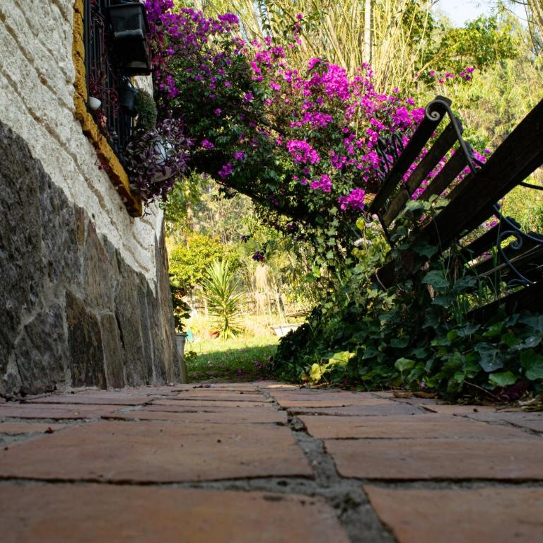 Libélula Cabaña- Alojamiento rural - Casa de 2 dormitorios - 47