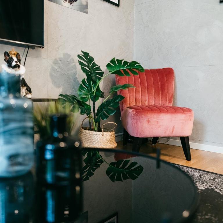 Luxury Downtown Appartement mit Garage - Apartamento - 10