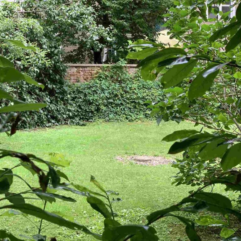 Luxury Downtown Appartement mit Garage - Apartamento - 36